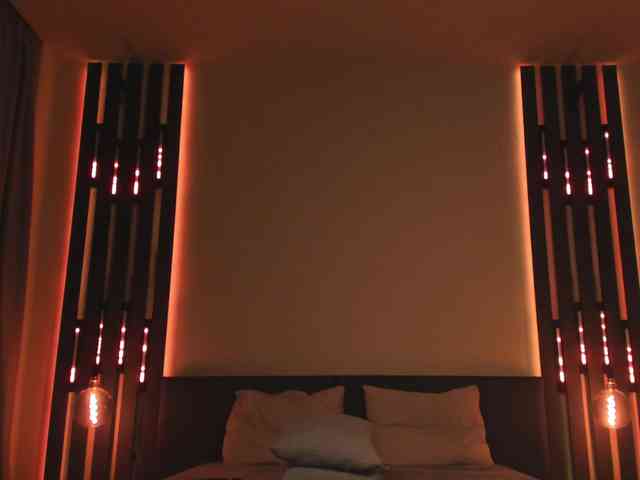 ShySara webcam