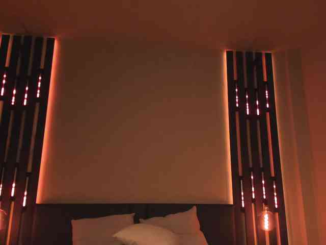 ShySara webcam
