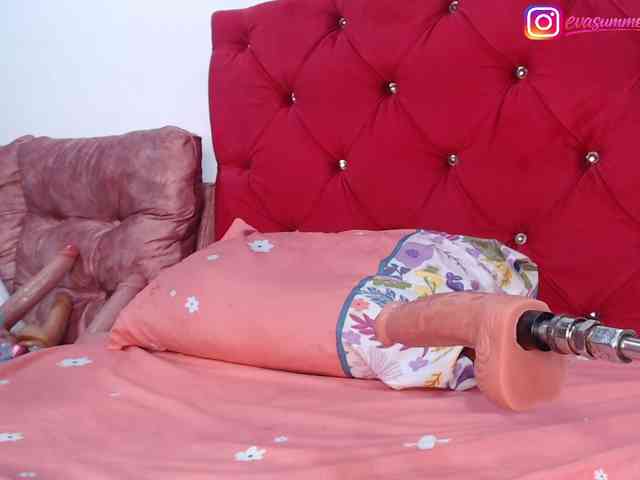Evasummer1 webcam