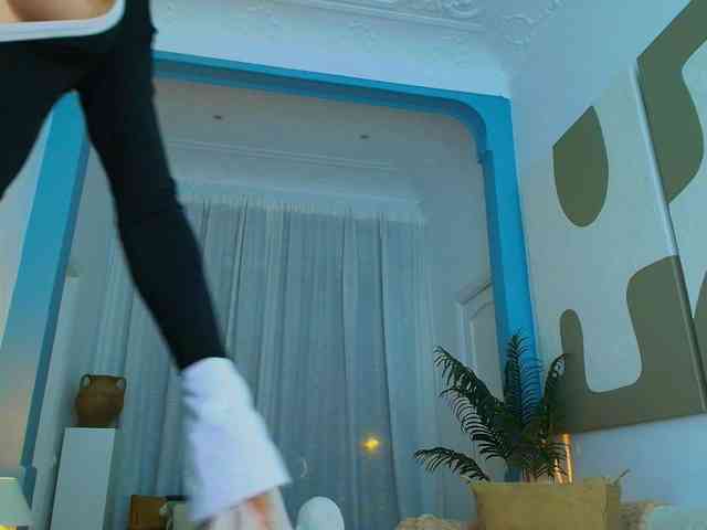 Fancy-t33n webcam