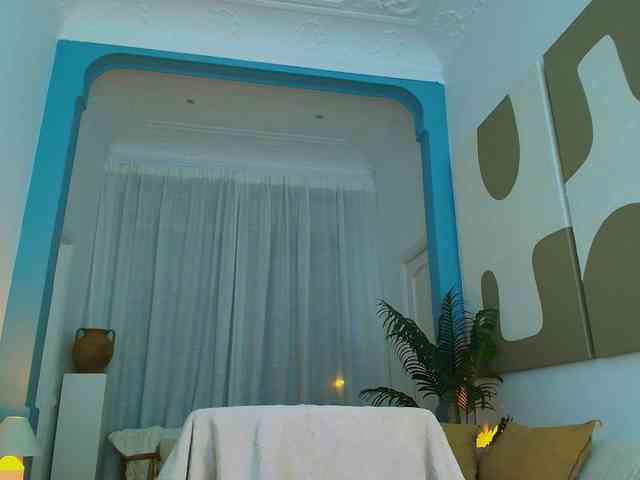 Fancy-t33n webcam