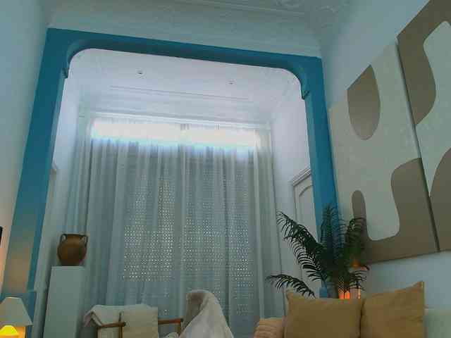 Fancy-t33n webcam