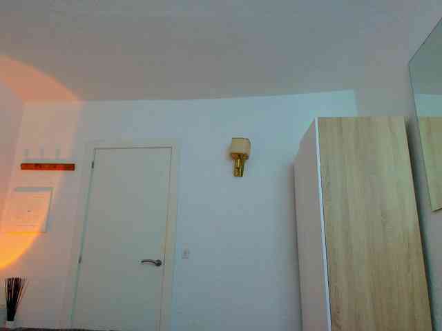 Fancy-t33n webcam