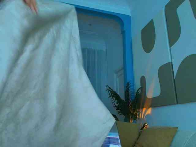 Fancy-t33n webcam