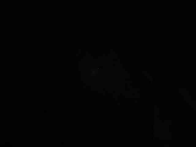 Polichkaaaa webcam