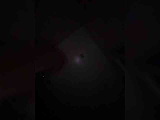 Polichkaaaa webcam