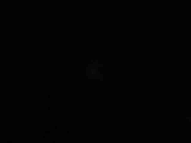 Polichkaaaa webcam