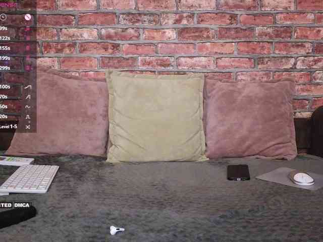 Velise webcam