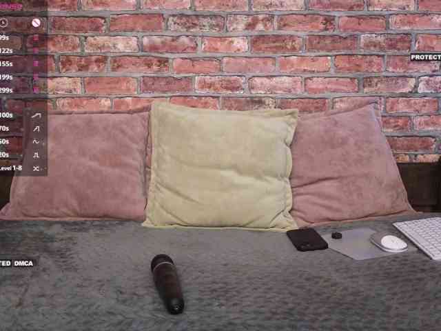 Velise webcam