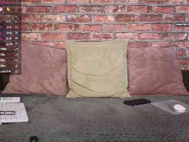 Velise webcam