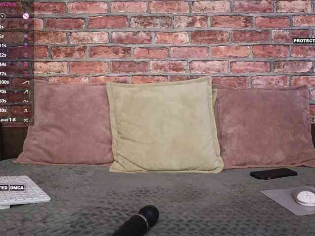 Velise webcam