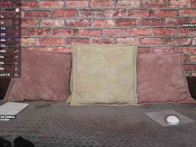 Velise webcam