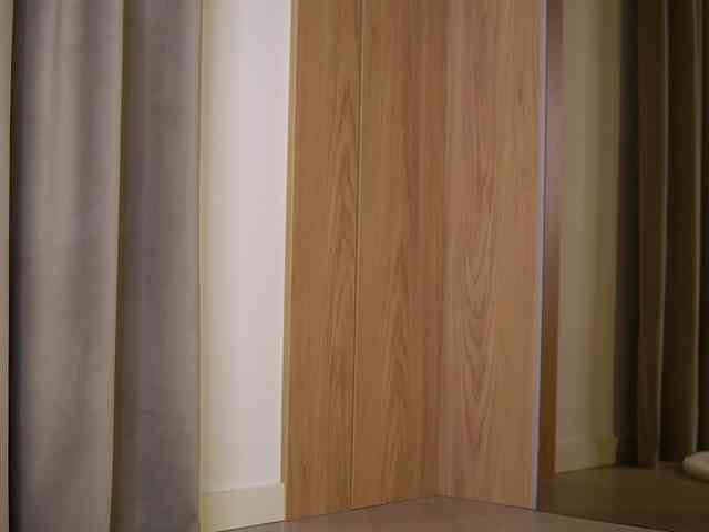 VanesaSimon webcam