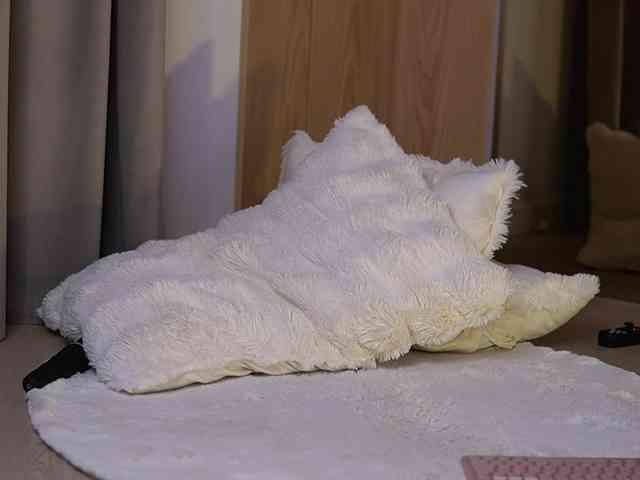 VanesaSimon webcam