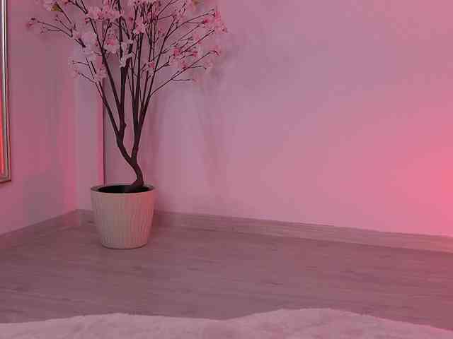 VanesaSimon webcam