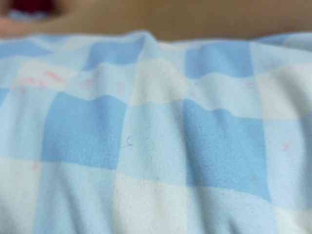 farianachocolatecrememia webcam