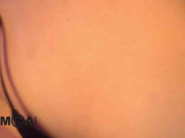 AbbySaphir webcam