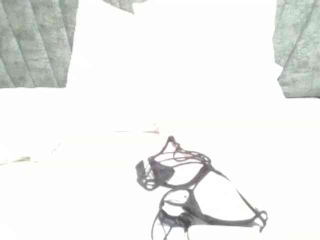 Dizzydose1 webcam