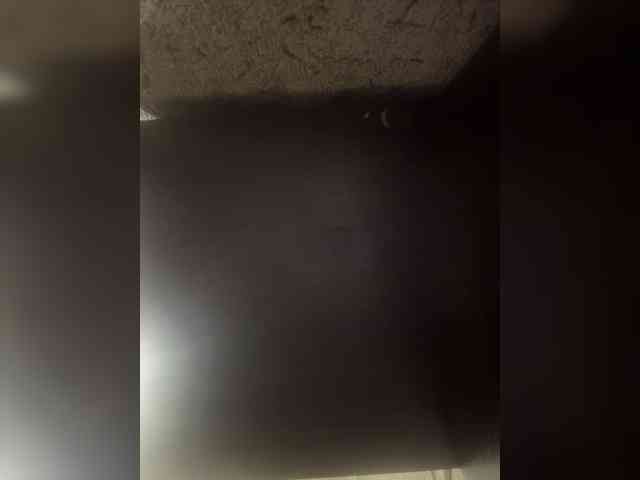Big009DD webcam