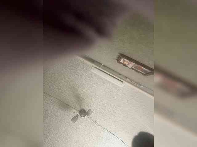 Big009DD webcam
