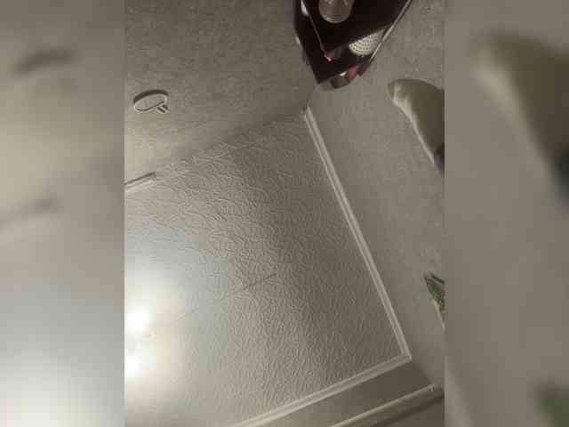 Big009DD webcam