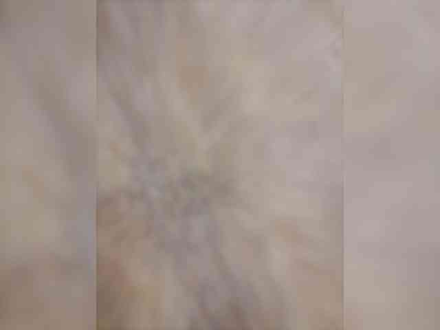 -Tiffany- webcam