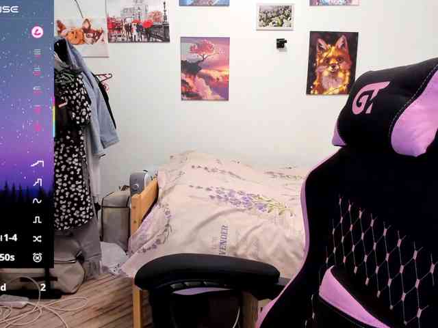 Diafoxy webcam