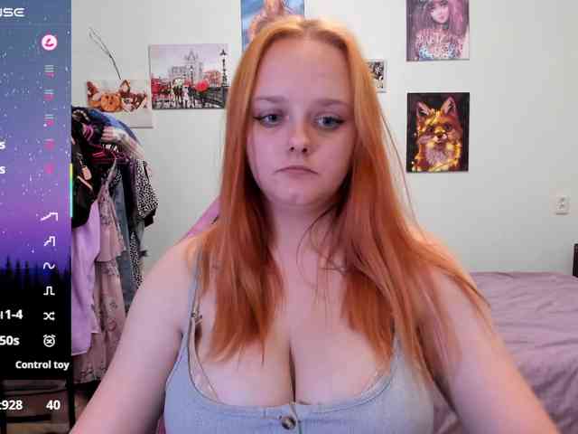 Diafoxy webcam