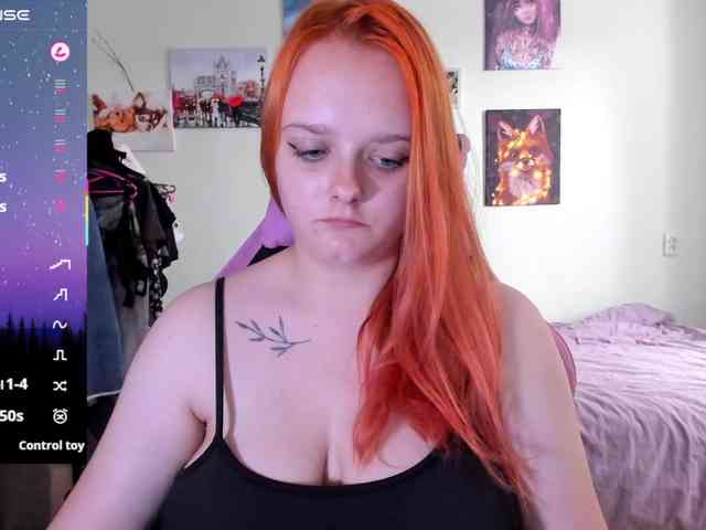 Diafoxy webcam