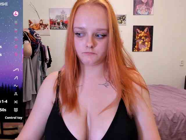 Diafoxy webcam