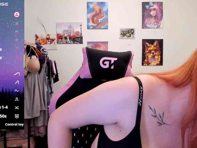 Diafoxy webcam