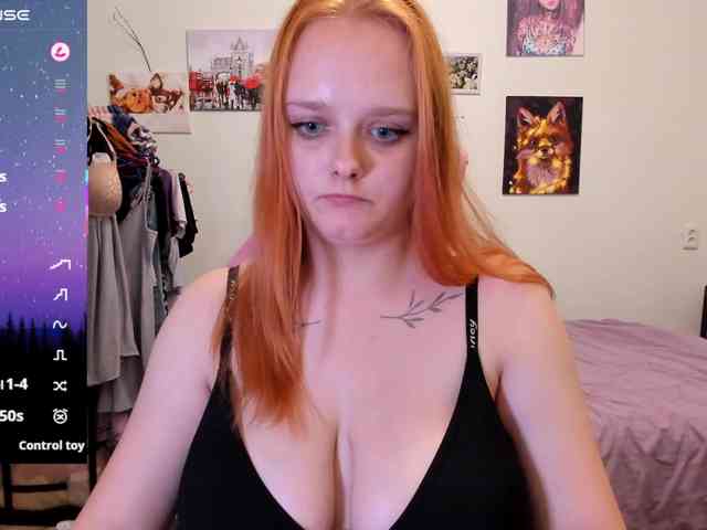 Diafoxy webcam