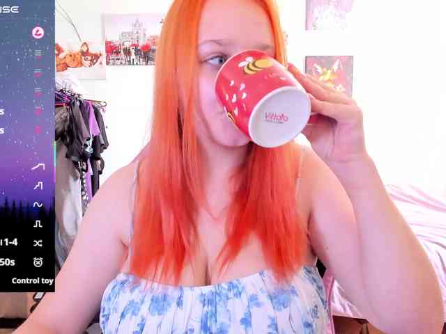 Diafoxy webcam