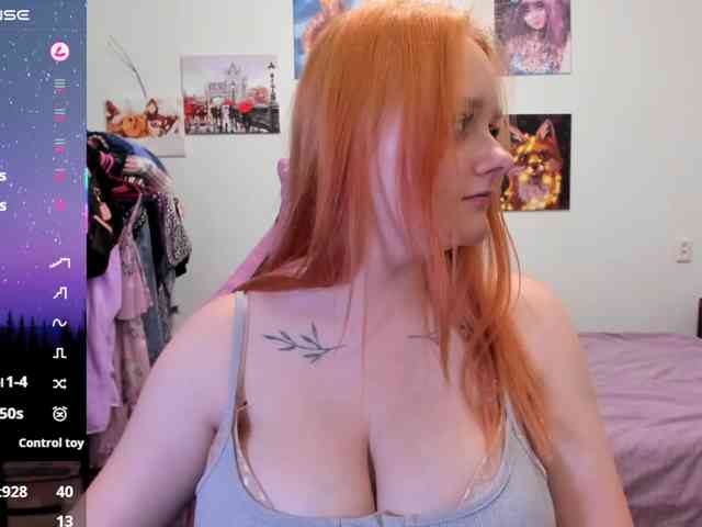 Diafoxy webcam