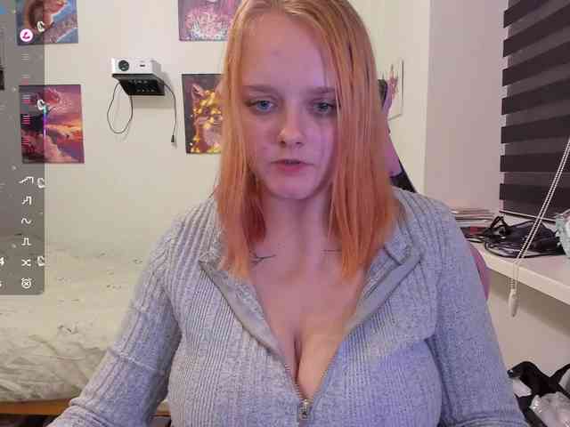 Diafoxy webcam