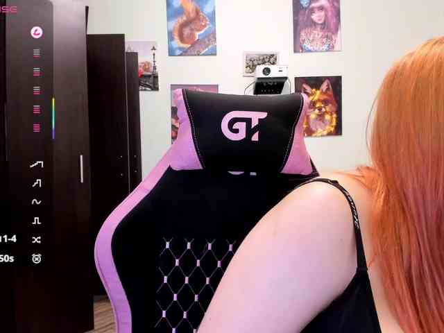 Diafoxy webcam