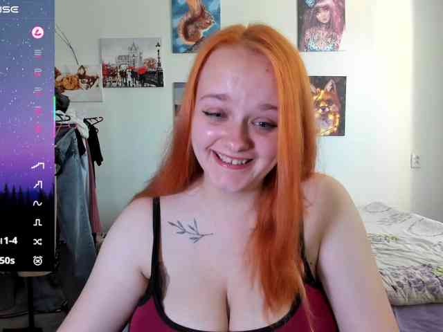 Diafoxy webcam