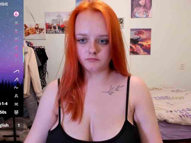 Diafoxy webcam