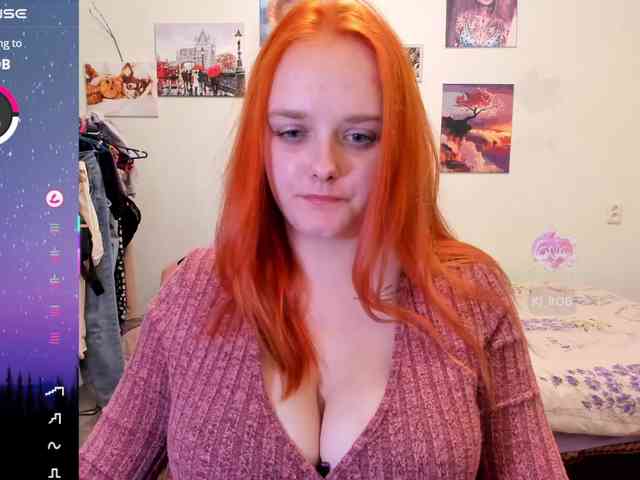 Diafoxy webcam