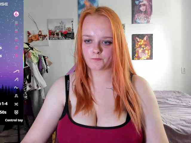 Diafoxy webcam