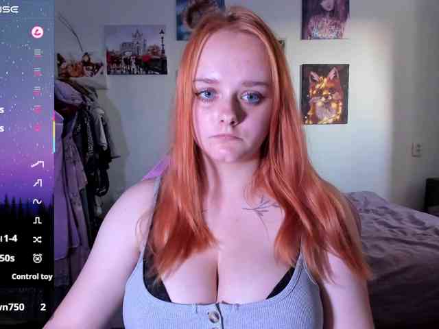 Diafoxy webcam