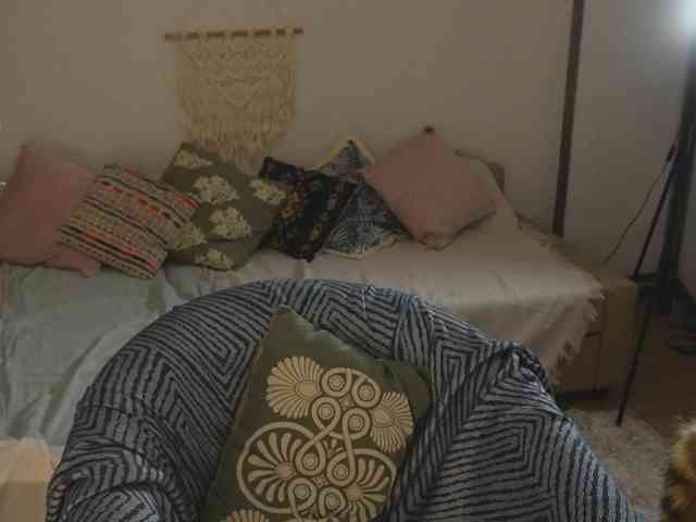 velvetjenny webcam