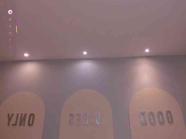 PaulinaSantos1 webcam