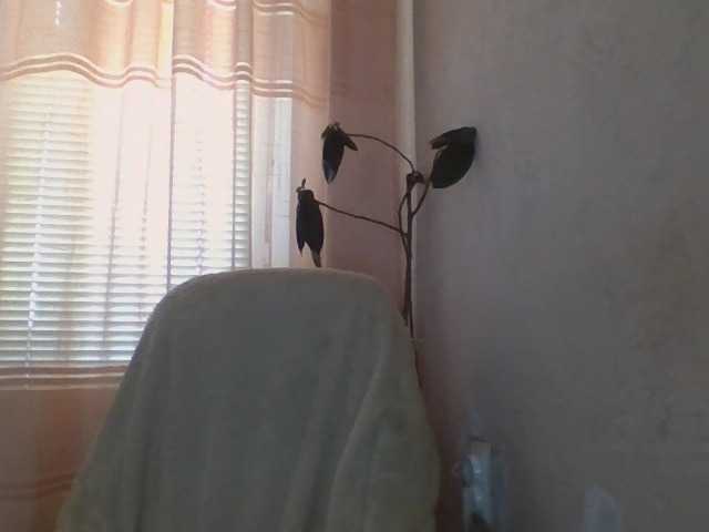 CassieStefana's BongaCams show and profile