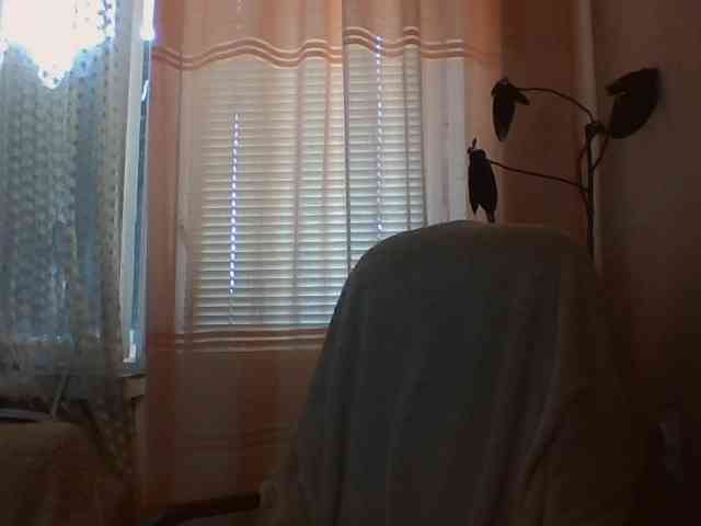 CassieStefana webcam