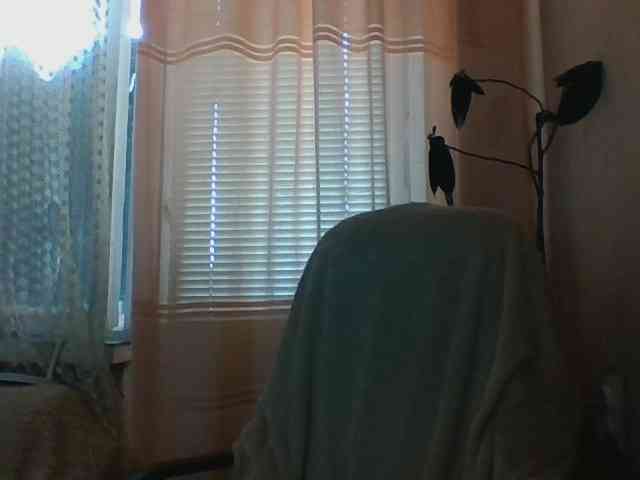 CassieStefana webcam