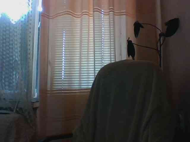 CassieStefana webcam