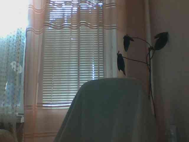 CassieStefana webcam