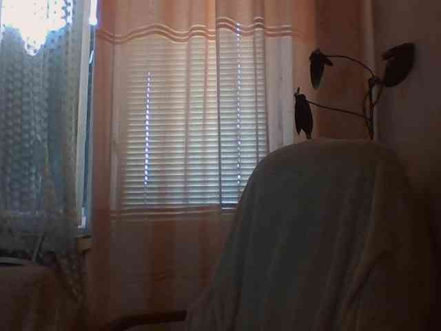 CassieStefana webcam