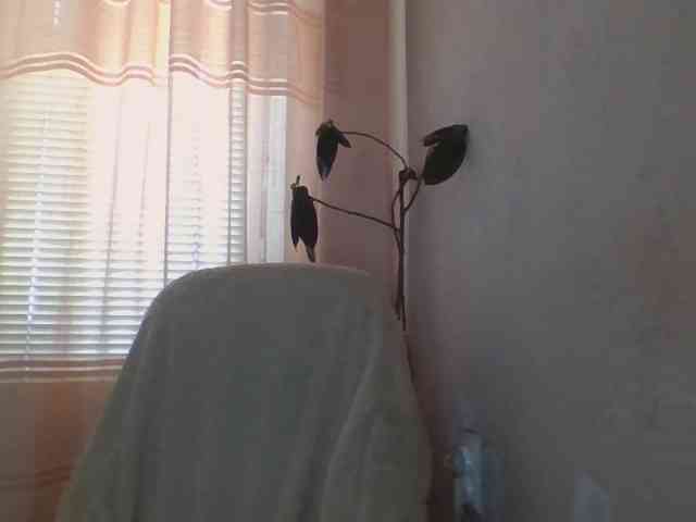 CassieStefana webcam